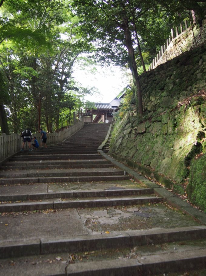 八幡神社・階段