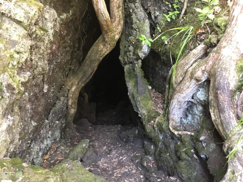 溶岩洞窟の入り口